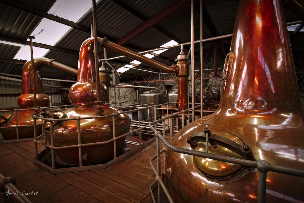 10 01 IMG 3331 The Dingle Distillery blog 1024px