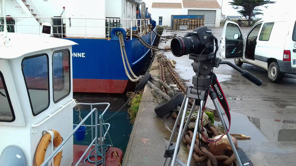 6d trepied bassin