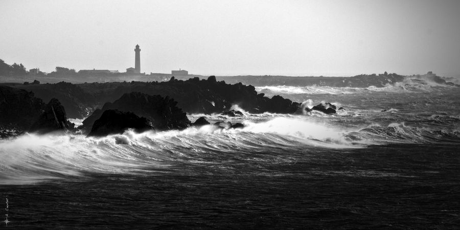 Zeus viste l'Ile d'Yeu