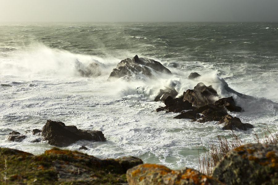 IMG 8779 The strong wind blow waves out fb