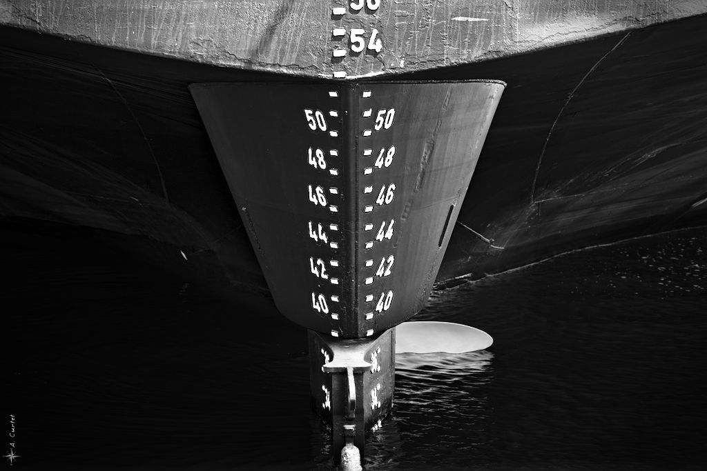 IMG 2051 Stern 1024px