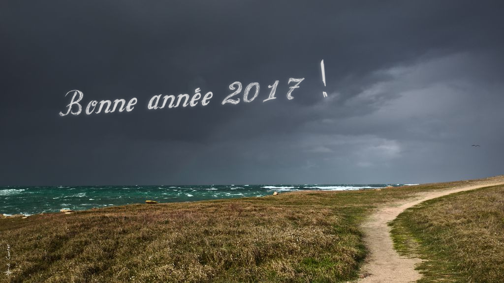 Bonne année 2017 !