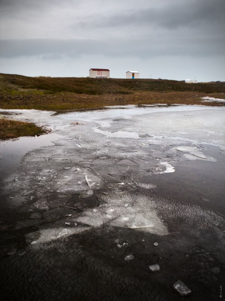 2018 03 01 IMG 4526 Frozen pound fb