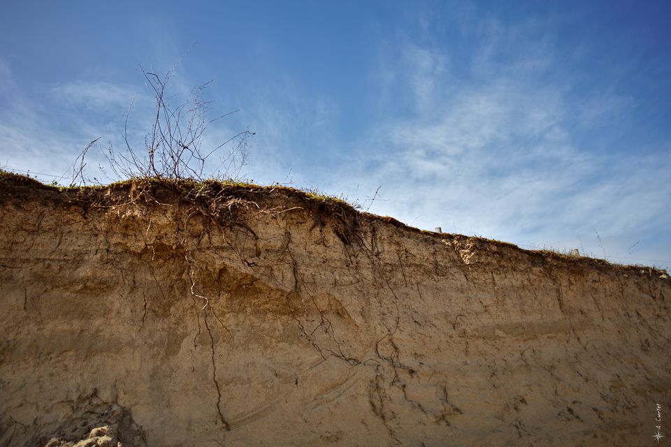 2018 03 24 IMG 5422 Damaged dune fb