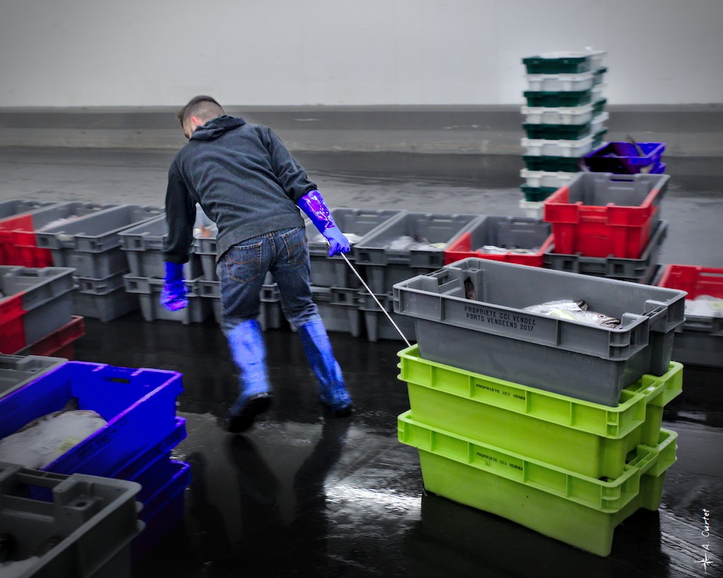 2018 06 15 IMG 0643 fish boxes 1024px