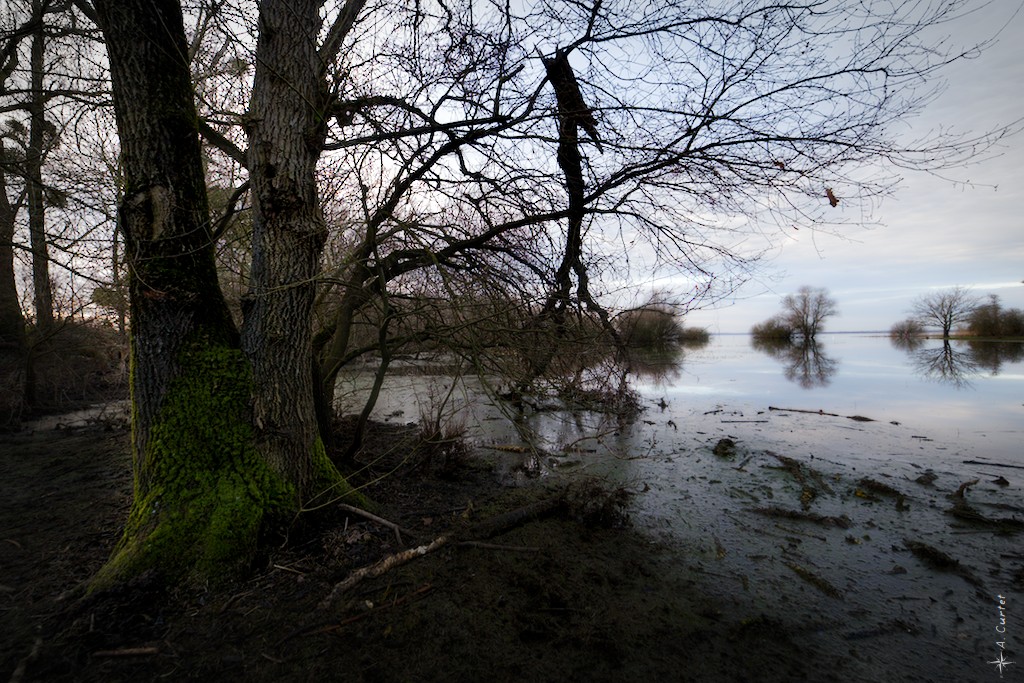 2019 01 18 MG 1260 Flooded lake in winter 0 1024px