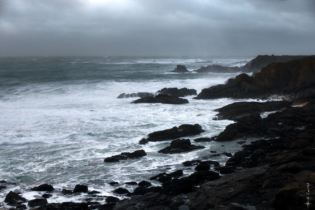 2019 01 29 IMG 1543 Coast 0 1024px