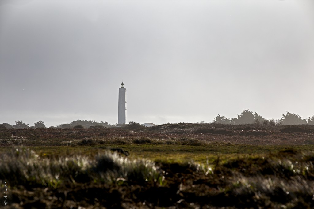 2019 02 10 IMG 2119 Lighthouse 0 1024px