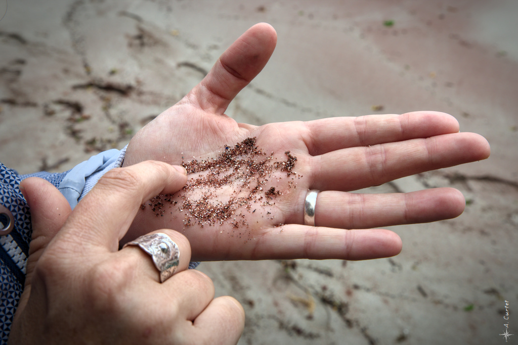 2019 09 29 IMG 0140 red sands beach 0 1024px