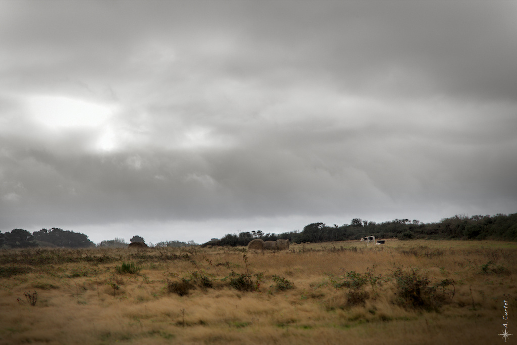 2019 09 29 IMG 0175 Rainy weather 0 1024px