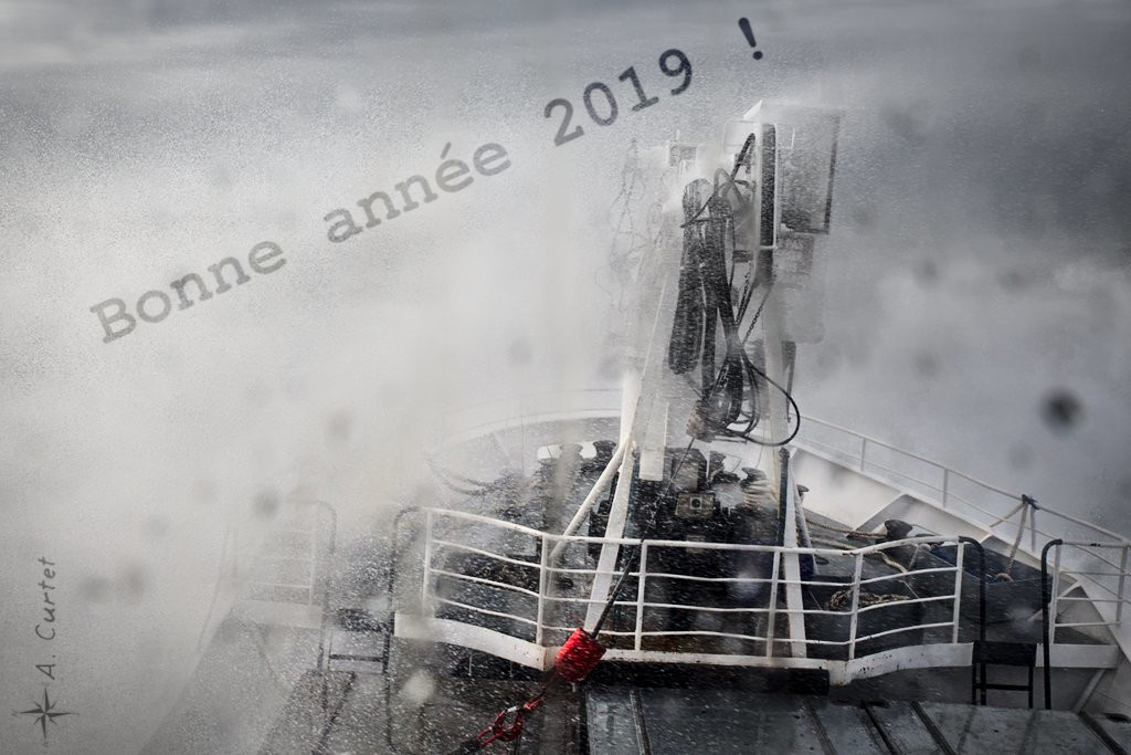 voeux 2019