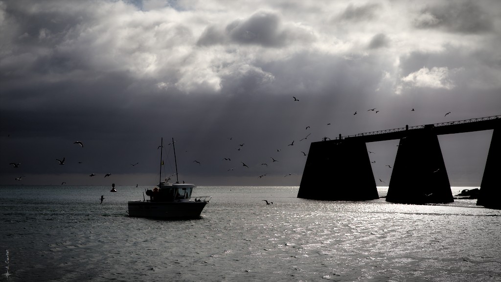A contre-jour